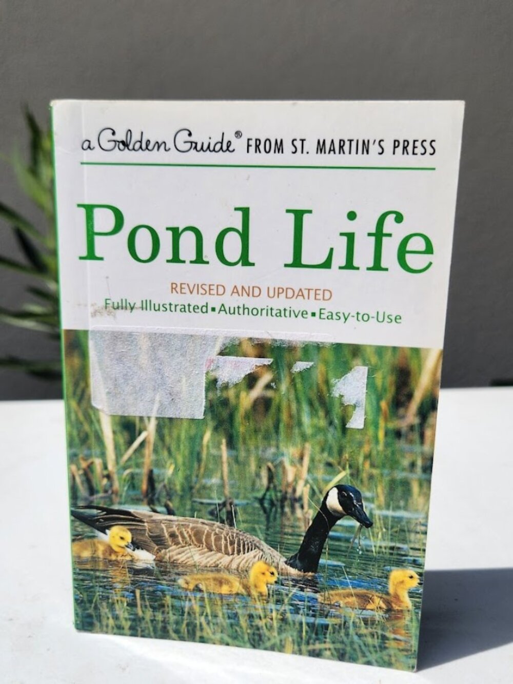 Pond Life Golden Guide Field Book St. Martin's Press Paperback 9781582381305